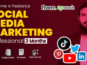 Becoma A Freelance Social Media Marketing Professional